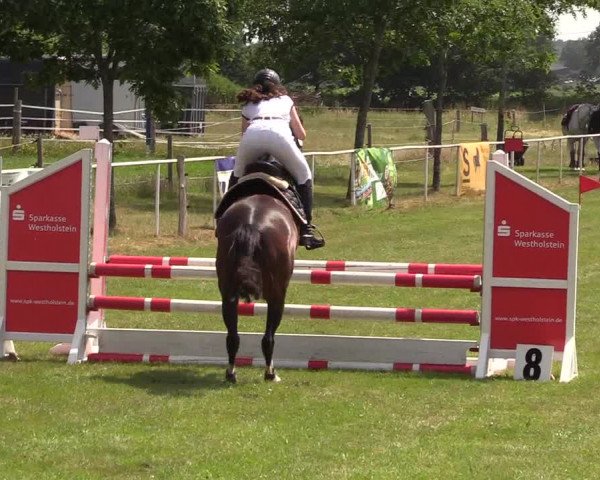 Reitturnier Kellinghusen 2021