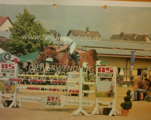 broodmare Kayleigh 10 (KWPN (Royal Dutch Sporthorse), 1999, from Monaco)
