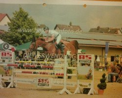 broodmare Kayleigh 10 (KWPN (Royal Dutch Sporthorse), 1999, from Monaco)