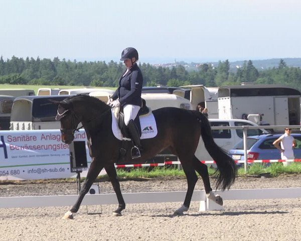 Reitturnier Jettingen 2021
