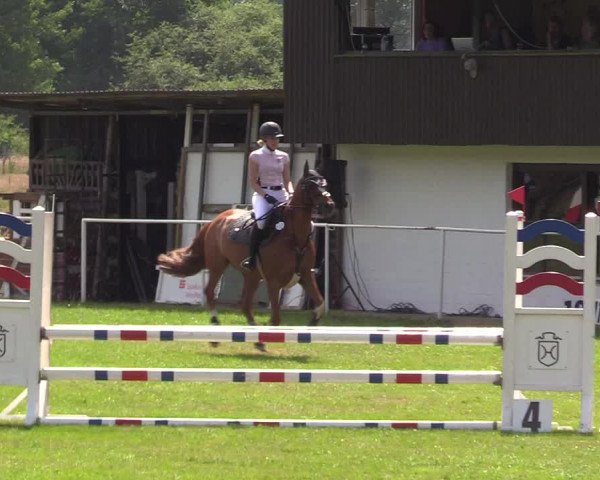 Reitturnier Kellinghusen 2021