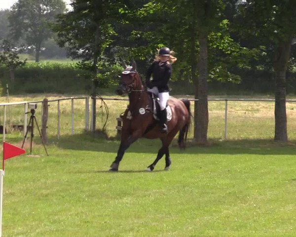 Reitturnier Kellinghusen 2021