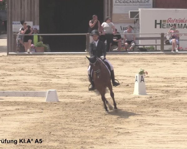 Reitturnier Uder, Reitanlage Kobold 2021