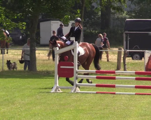 Reitturnier Kellinghusen 2021