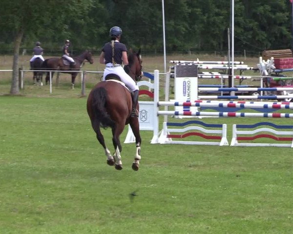 Reitturnier Kellinghusen 2021