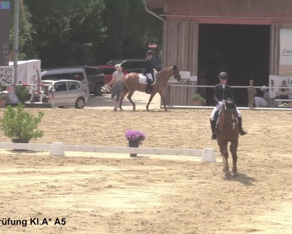 Reitturnier Uder, Reitanlage Kobold 2021