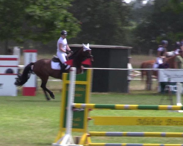Reitturnier Kellinghusen 2021