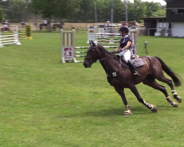 Reitturnier Kellinghusen 2021
