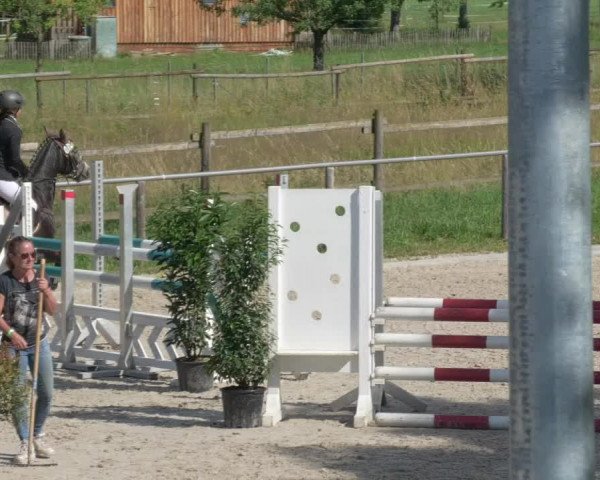 Reitturnier Köngen 2021