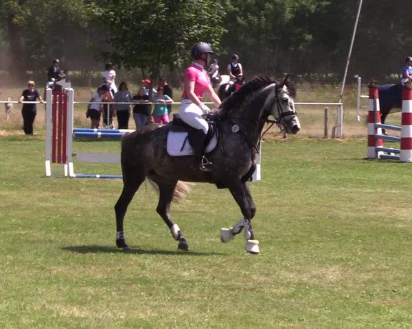 Reitturnier Kellinghusen 2021