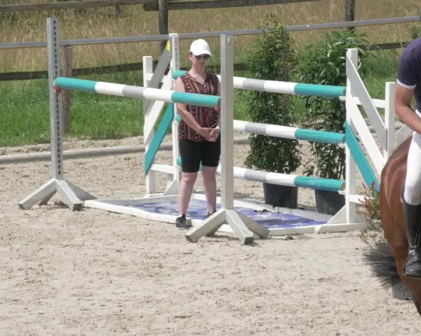 Reitturnier Köngen 2021