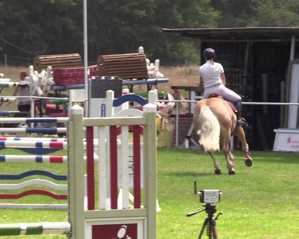 Reitturnier Kellinghusen 2021