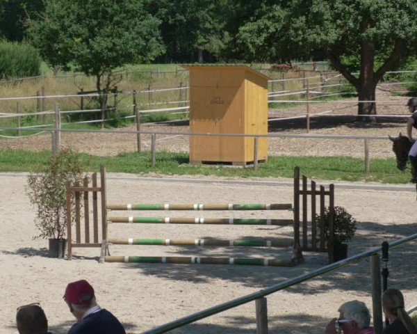 Reitturnier Köngen 2021