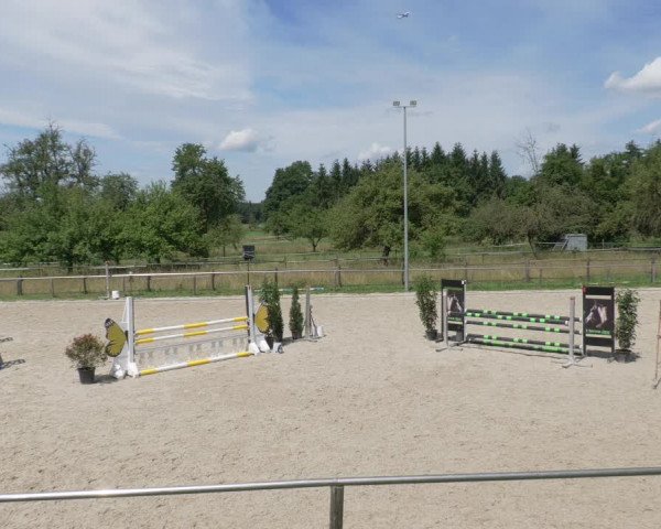 Reitturnier Köngen 2021