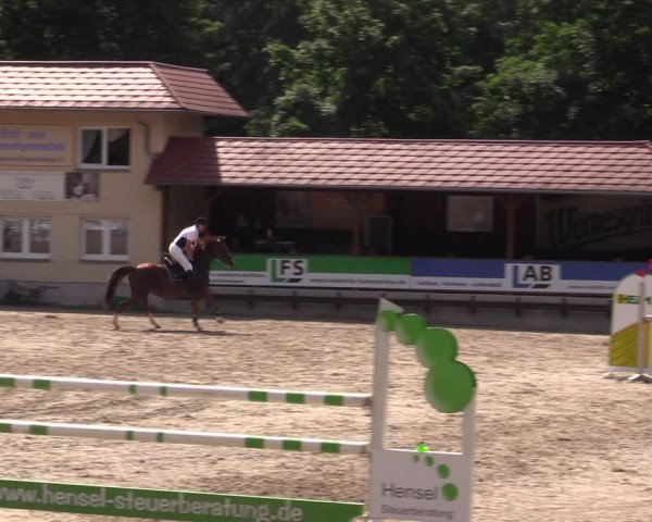 Reitturnier Lgl.-Oberhain, B95 2021