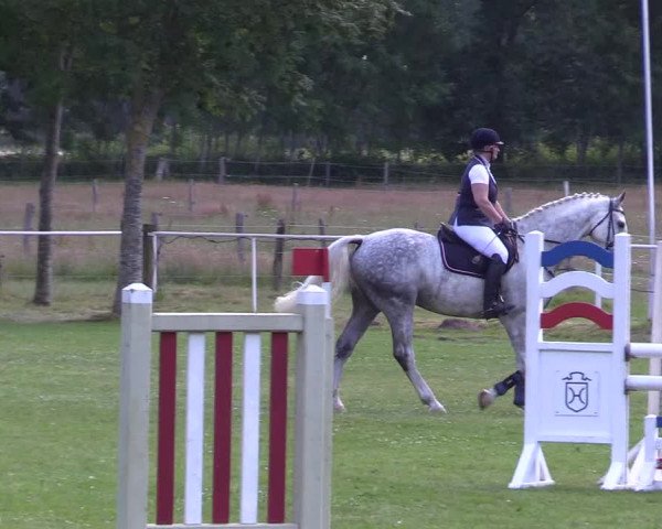 Reitturnier Kellinghusen 2021