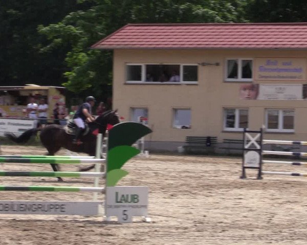 Reitturnier Lgl.-Oberhain, B95 2021