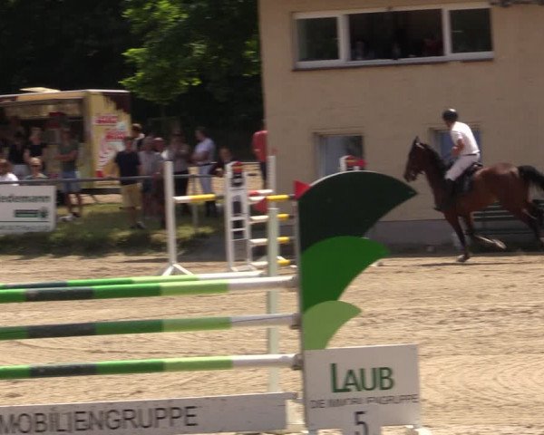 Reitturnier Lgl.-Oberhain, B95 2021