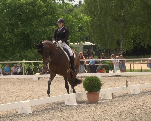Reitturnier Jettingen 2021