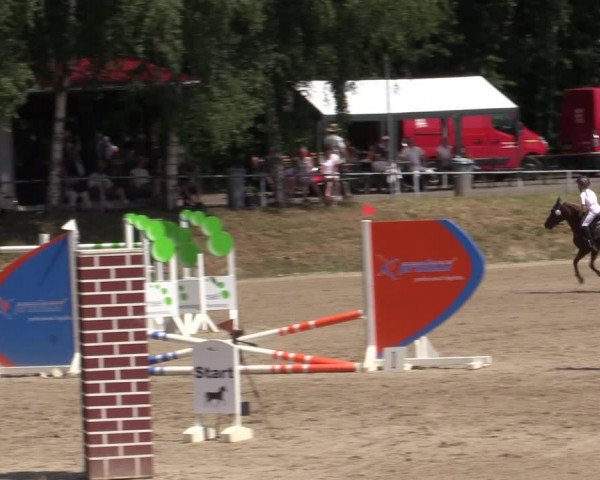 Reitturnier Lgl.-Oberhain, B95 2021