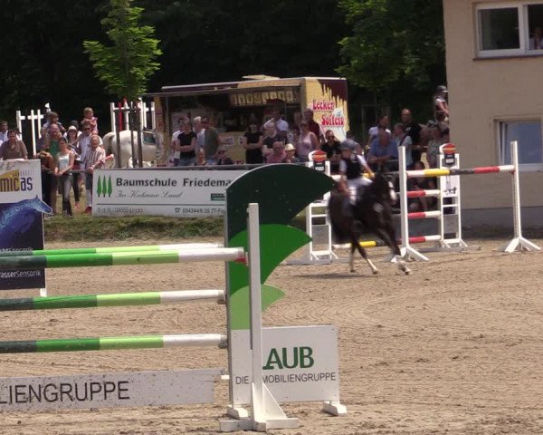 Reitturnier Lgl.-Oberhain, B95 2021