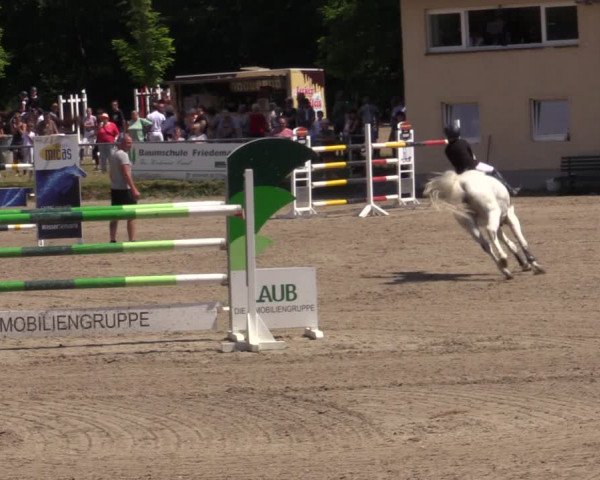Reitturnier Lgl.-Oberhain, B95 2021