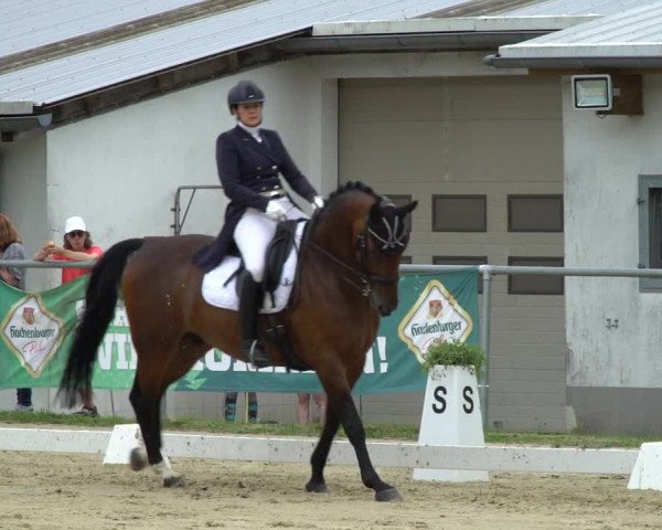 Reitturnier Bad Marienberg - OT Nisterau 2021