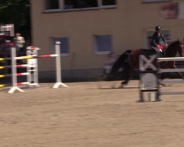 Reitturnier Lgl.-Oberhain, B95 2021