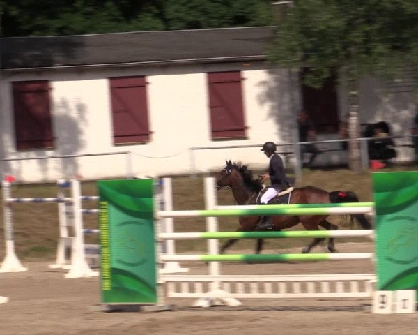 Reitturnier Lgl.-Oberhain, B95 2021