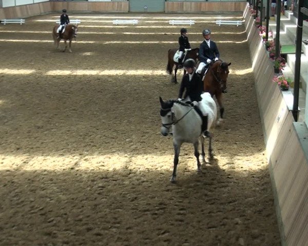 Reitturnier Rhede 2021