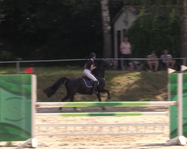 Reitturnier Lgl.-Oberhain, B95 2021