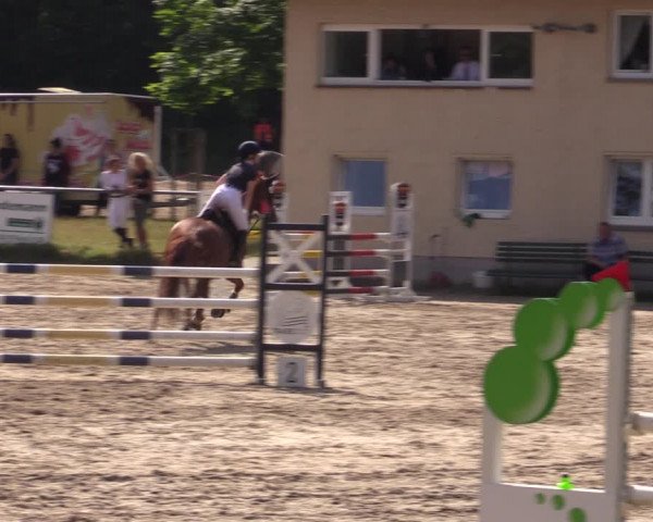 Reitturnier Lgl.-Oberhain, B95 2021