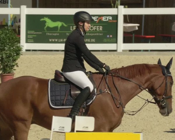 Springturnier Memmingen 2021