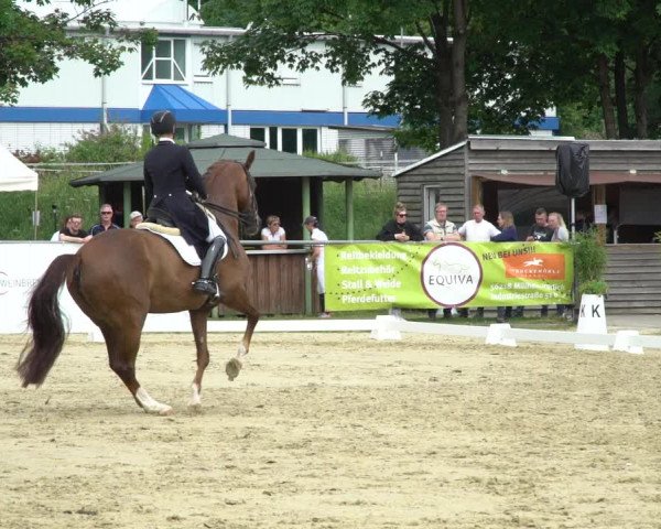 Reitturnier Bad Marienberg - OT Nisterau 2021