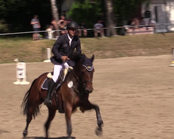 Reitturnier Lgl.-Oberhain, B95 2021