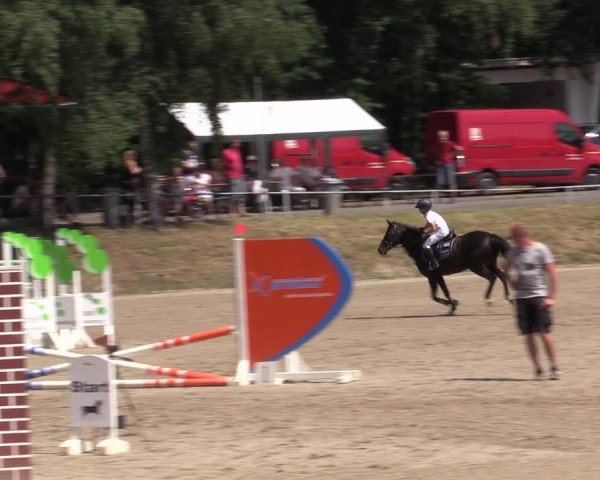 Reitturnier Lgl.-Oberhain, B95 2021