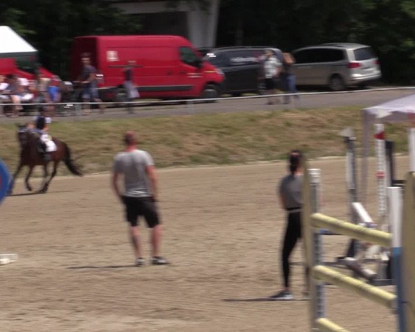 Reitturnier Lgl.-Oberhain, B95 2021