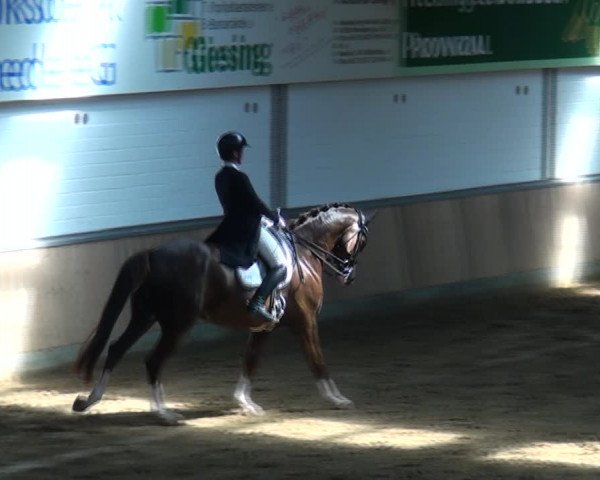 Reitturnier Rhede 2021