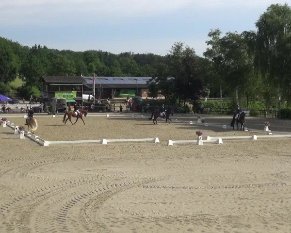 Reitturnier Schwerte-Gut Kückshausen 2021