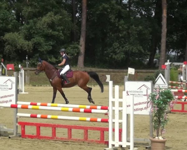 Reitturnier Rhede 2021