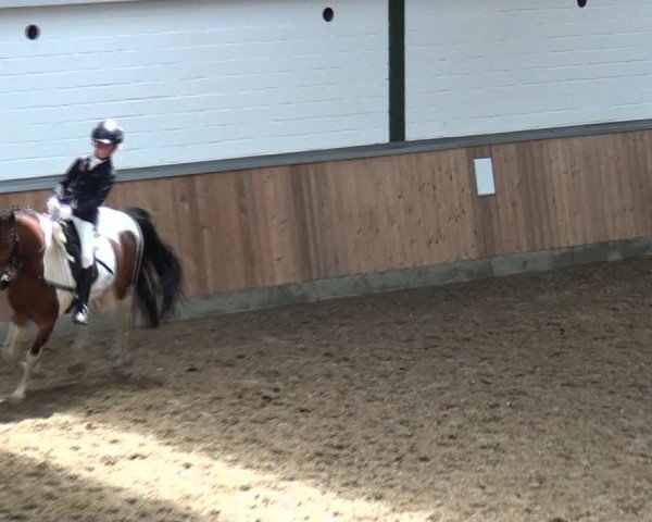 Reitturnier Rhede 2021