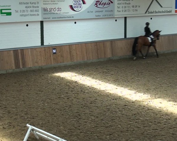 Reitturnier Rhede 2021