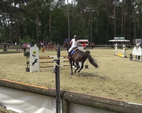 Reitturnier Rhede 2021