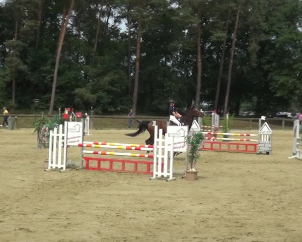 Reitturnier Rhede 2021