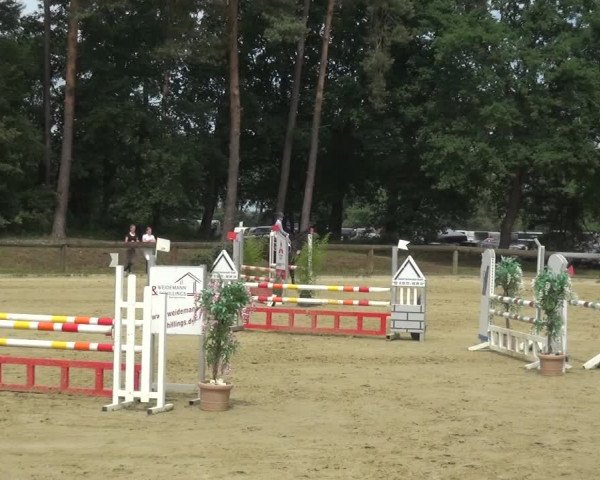 Reitturnier Rhede 2021