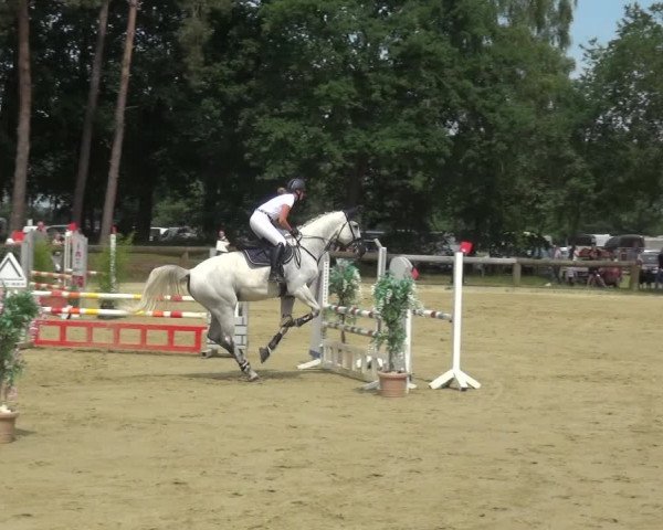Reitturnier Rhede 2021