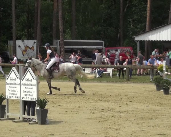 Reitturnier Rhede 2021