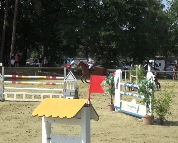 Reitturnier Rhede 2021