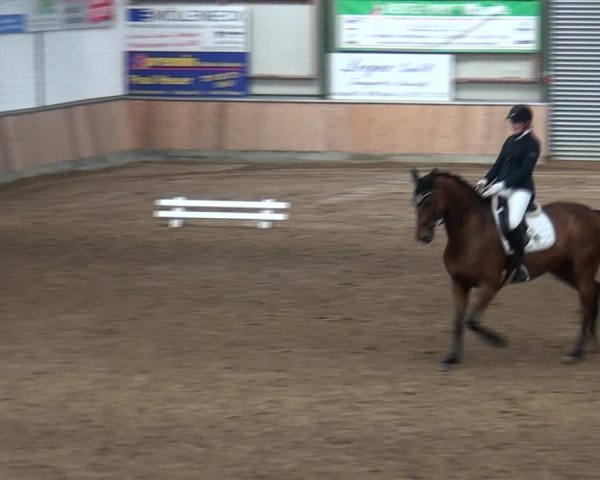 Reitturnier Rhede 2021