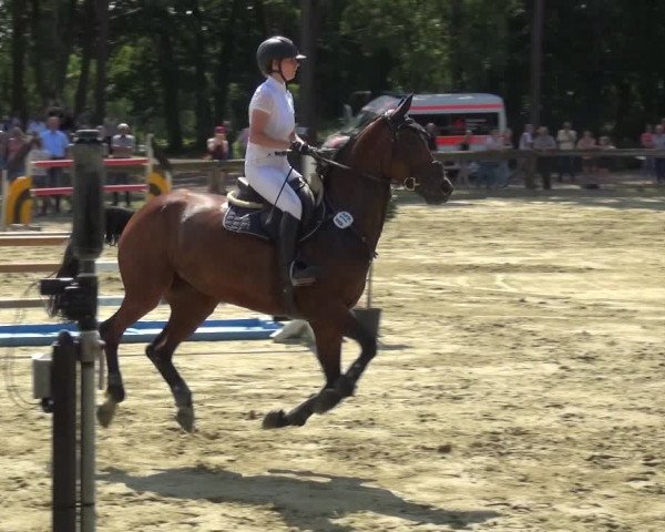 Reitturnier Rhede 2021